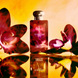Одеколон Jo Malone London Dark Amber&Ginger Lily 100 ml (690251022502) 690251022502 фото 2
