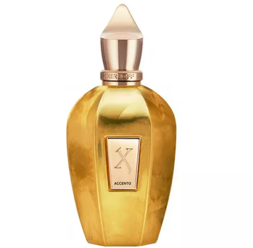 Парфюмерная вода Xerjoff Accento Overdose Eau de Parfum 100 ml (8033488159016) 8033488159016 фото