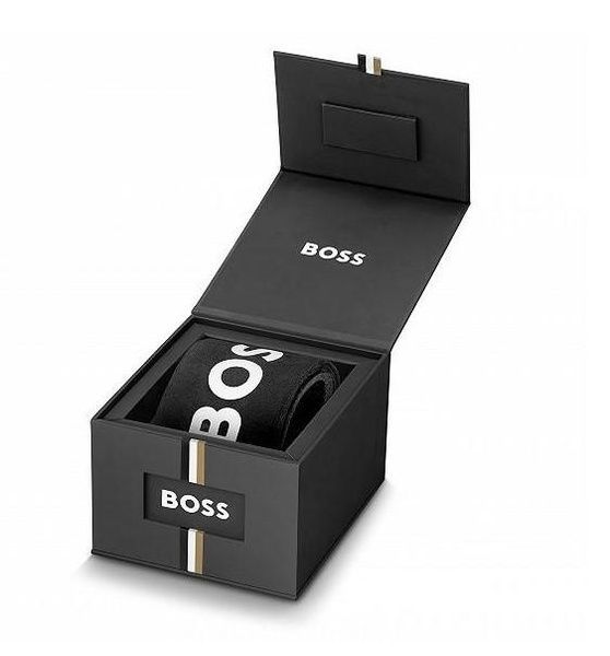 Часы Boss Chronograph Quartz Admiral 46 mm 120 фото