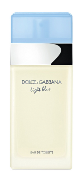 Dolce & Gabbana Light Blue Туалетная вода для женщин 100 ml (3423473020233) 3423473020233 фото