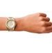 Женские часы Fossil Riley ES3203 38 mm wtchs_29104 фото 4
