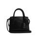 Сумка кожаная Coach Andrea Mini Carryall чёрная 196395289806 фото 1