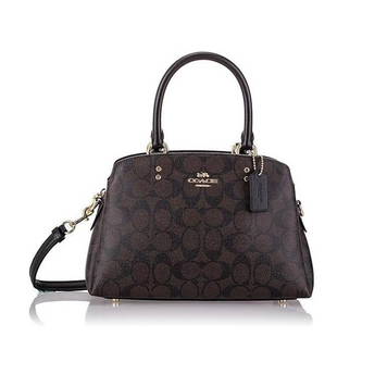 Сумка женская Coach Mini Lillie Carryall кожаная (0084) 193971659824 фото