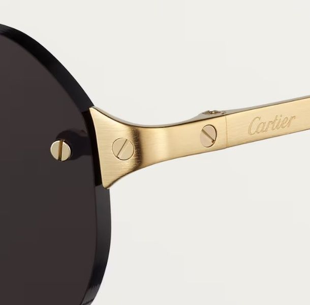 Сонцезахисні окуляри Santos de Cartier Sunglasses ESW00676 1147 фото