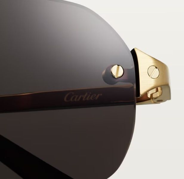 Сонцезахисні окуляри Santos de Cartier Sunglasses ESW00676 1147 фото