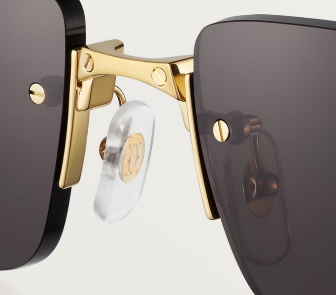 Сонцезахисні окуляри Santos de Cartier Sunglasses ESW00676 1147 фото