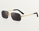 Сонцезахисні окуляри Santos de Cartier Sunglasses ESW00676 1147 фото 2